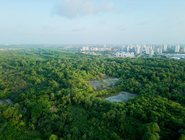 Comment tirer profit des jeux en ligne : Conseils pour gagner de l'argent sans effort