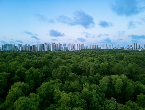 Optimisez votre santé avec ces astuces de tennis surprenantes