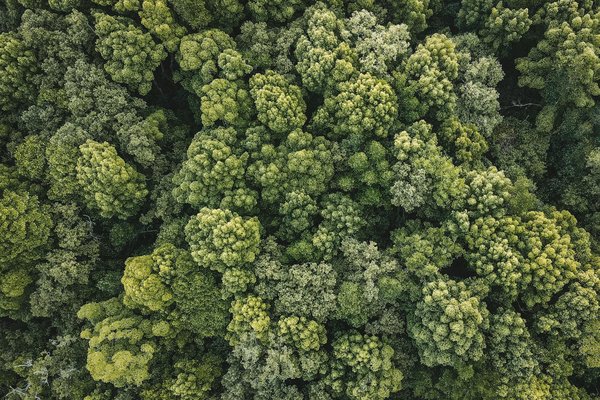 Vénus 2 à toulouse : votre destination pour l'érotisme moderne